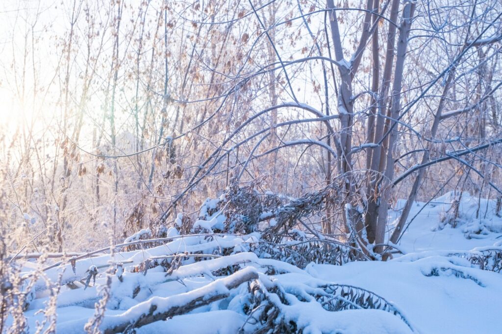 προειδοποίηση-αρναούτογλου-για-χιόν-1422640