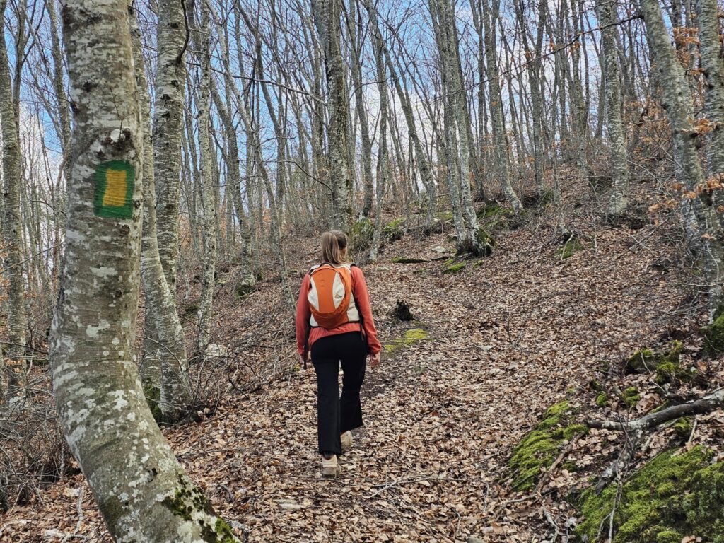 parallaxi-magazine-to-free-press-της-θεσσαλονίκης-1435543