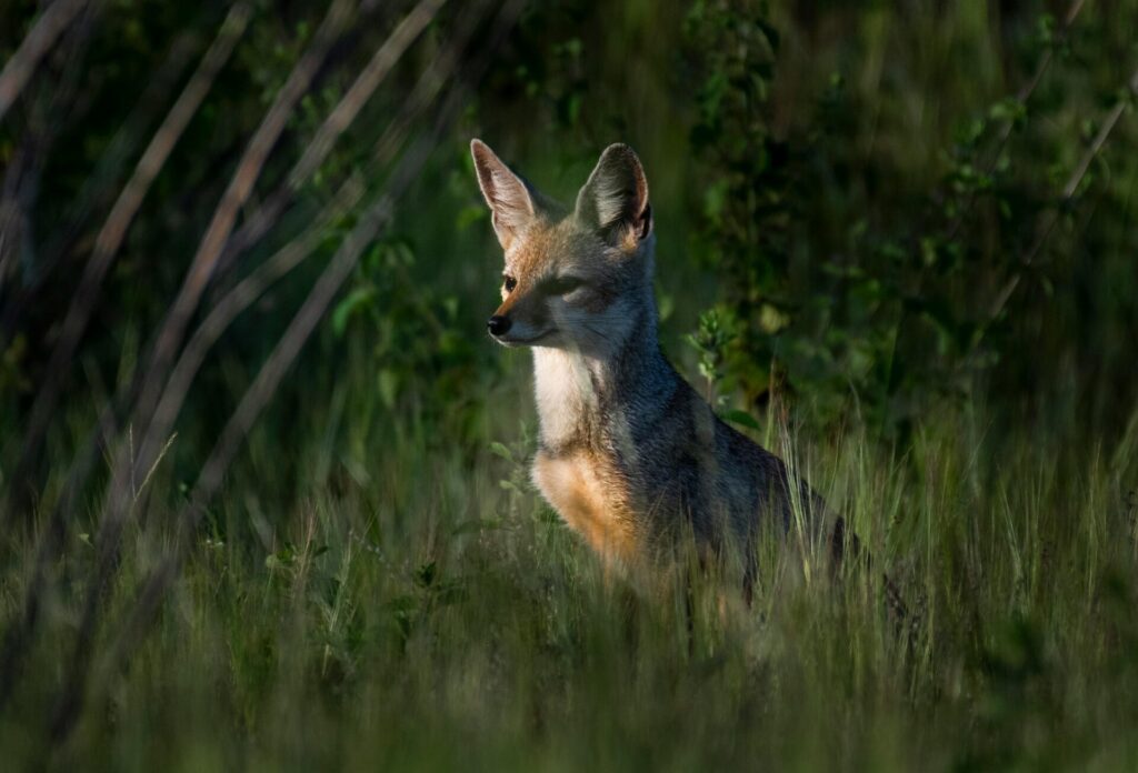 εδώ-εσείς-σκοτώνετε-ο-ένας-τον-άλλον-εμ-1434067