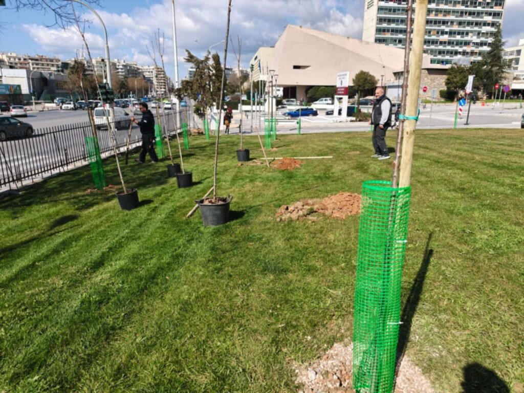 θεσσαλονίκη-πεντακόσια-νέα-δέντρα-στ-1441021