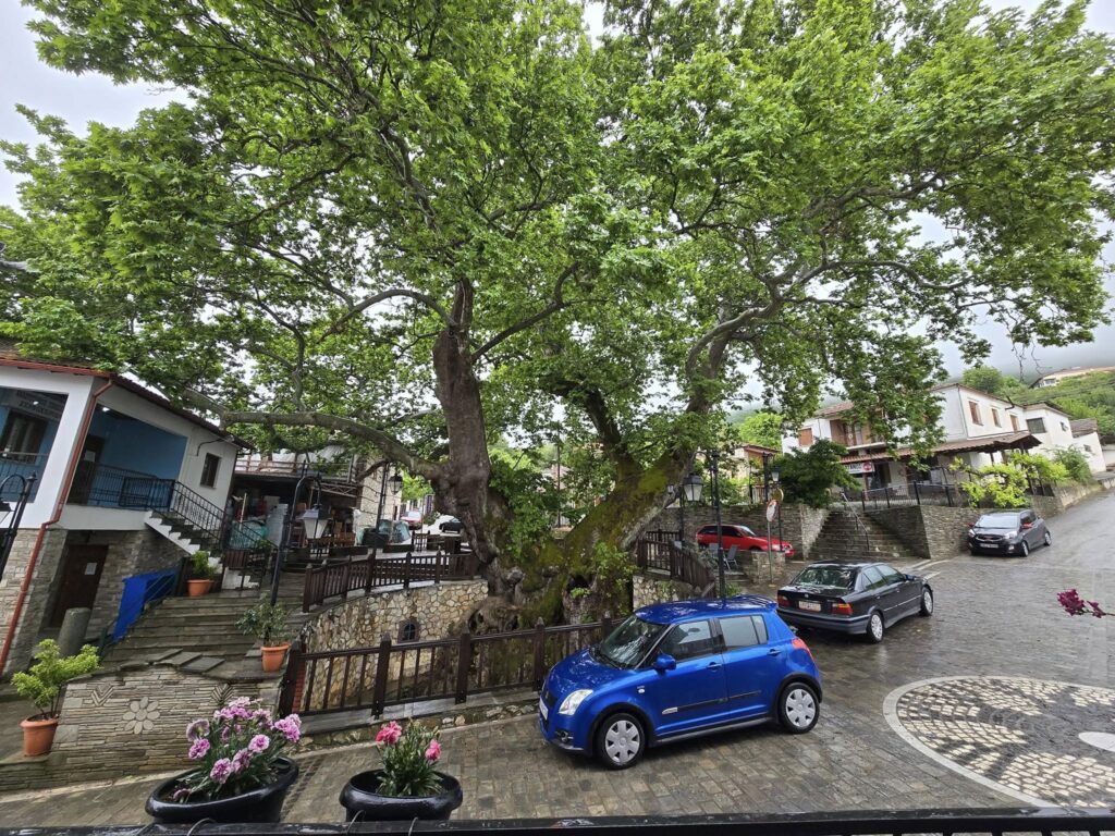 θεσσαλονίκη-συνελήφθη-30χρονος-στην-πε-1444136