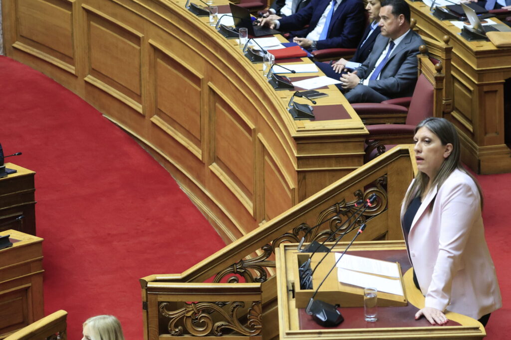 νέο-αδιανόητο-επεισόδιο-άδωνι-γεωργι-1449297