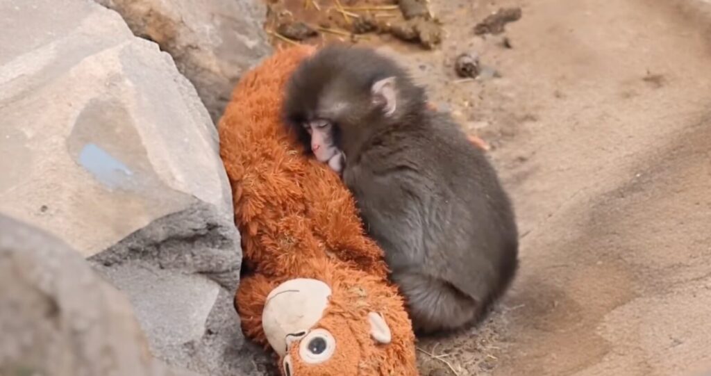 parallaxi-magazine-to-free-press-της-θεσσαλονίκης-1443277