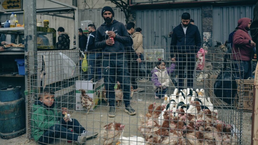 ιρακ-ένα-φωτογραφικό-οδοιπορικό-σε-μι-1447510