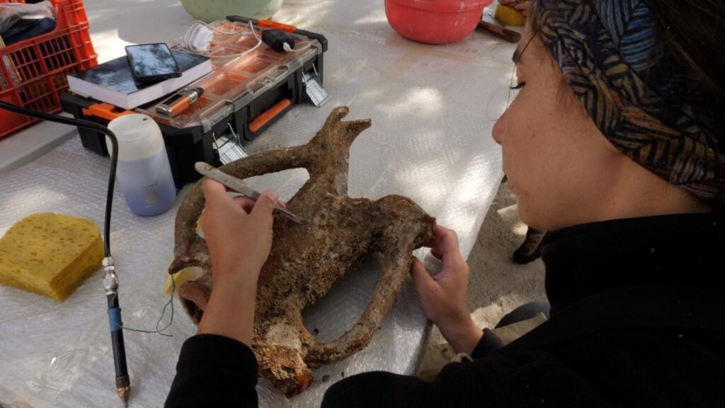 θεσσαλονίκη-φωτιά-σε-εν-κινήσει-ιχ-στο-1454377