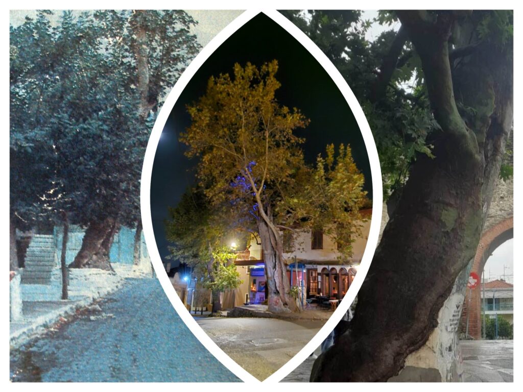 θεσσαλονίκη-σοβαρό-τροχαίο-στο-δερβέ-1466324