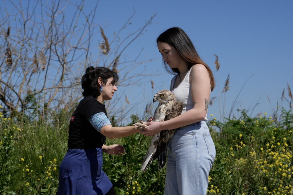 θεσσαλονίκη-άγρια-πουλιά-επανεντάχθ-1456739