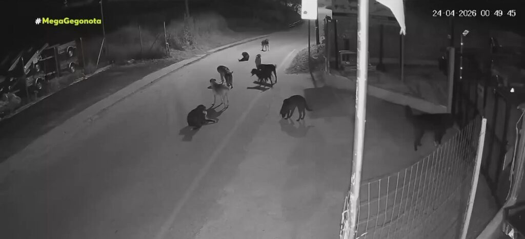 θεσσαλονίκη-ανησυχία-για-επιθέσεις-α-1467067