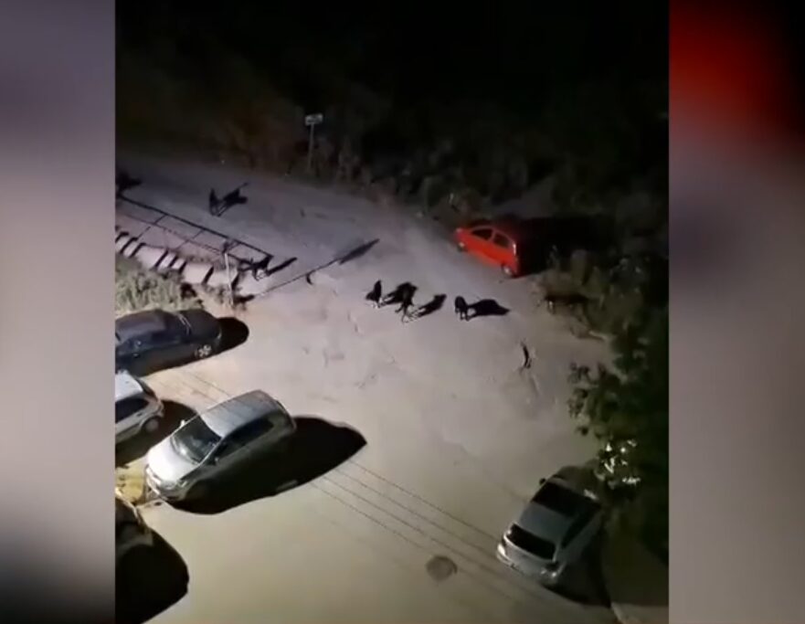 θεσσαλονίκη-βίντεο-δεν-κυκλοφορού-1486146