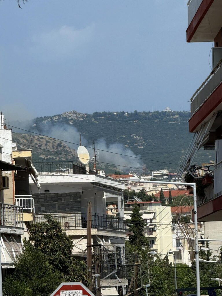 θεσσαλονίκη-πυρκαγιά-σε-δασική-έκτασ-1483134