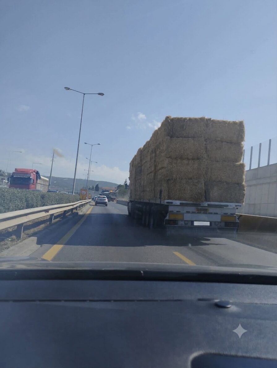Περιφερειακός