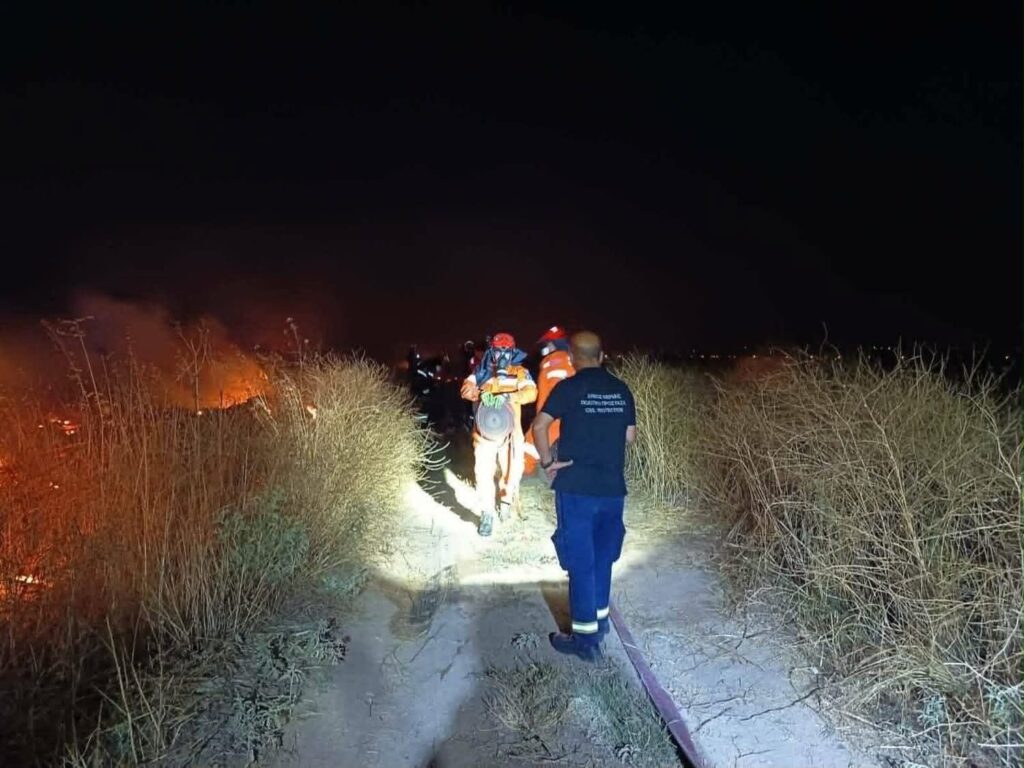 δήμος-θέρμης-65-πυρκαγιές-εκδηλώθηκαν-σ-1492333
