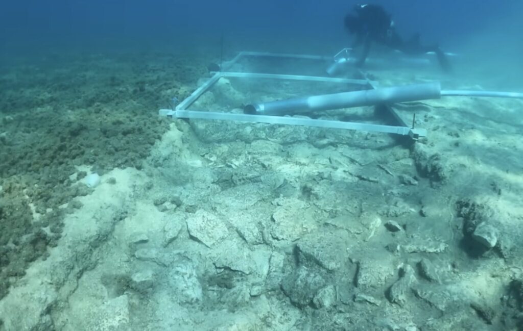 θεσσαλονίκη-ποιοι-δήμοι-ανοίγουν-κλι-1497974