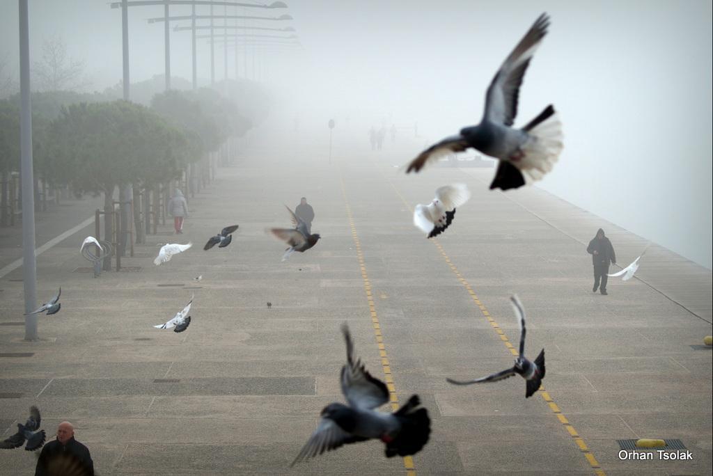 22-dsc001355.jpg 22-dsc001355.jpg