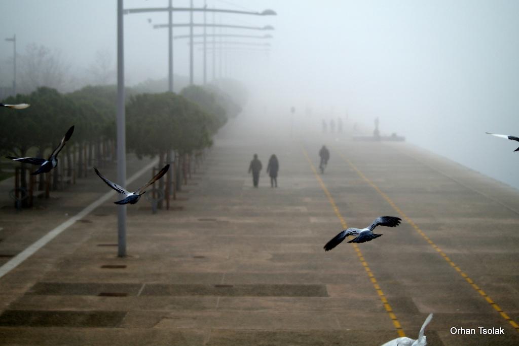 23-dsc001404.jpg 23-dsc001404.jpg