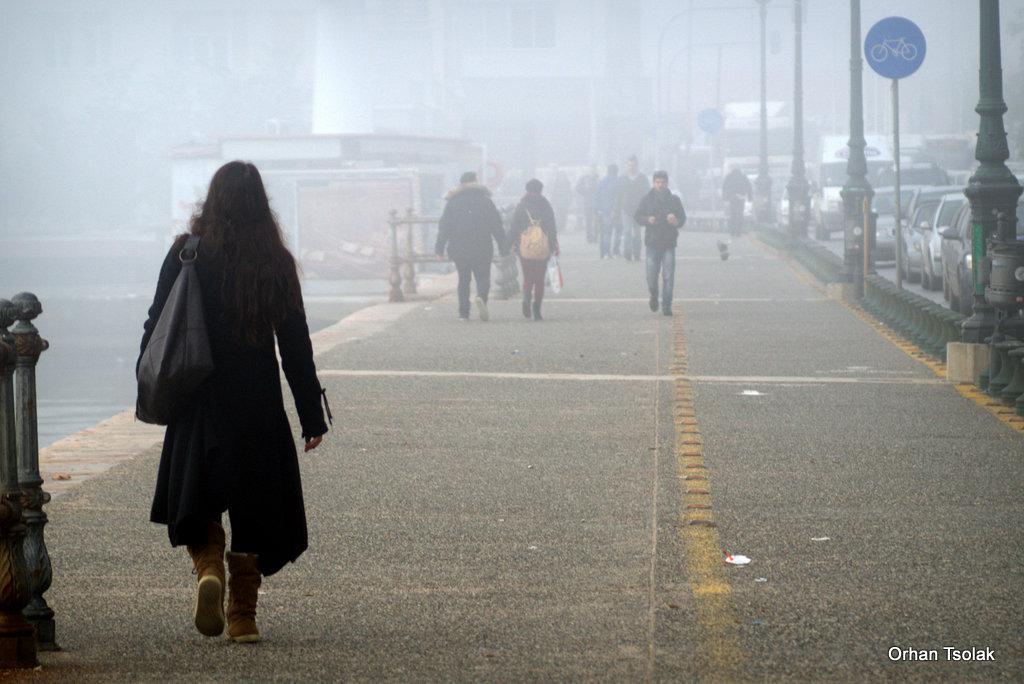 31-dsc002124.jpg 31-dsc002124.jpg