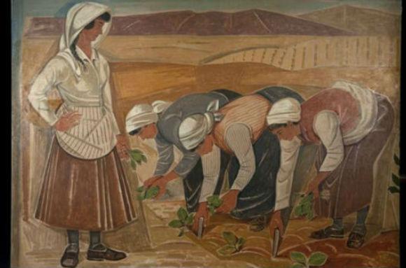 Η Καλλιέργεια του Καπνού TAΣΣΟΣ ΧΑΡΑΚΤΗΣ