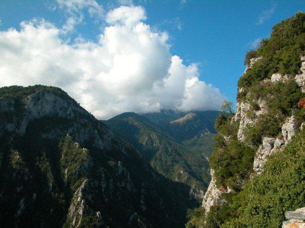 4736_98842516244_3962490_n