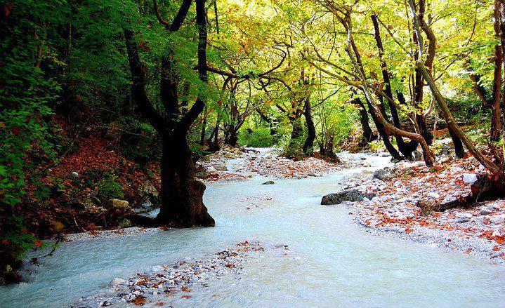 525968_369756859748302_479998370_n