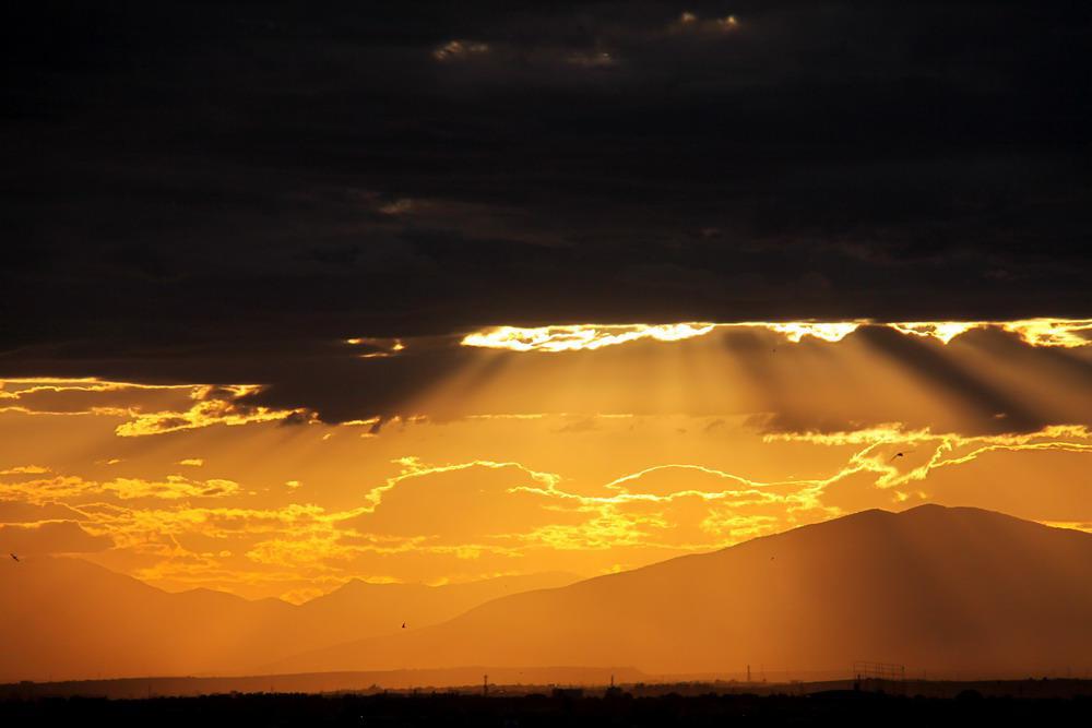 8_img_0232.jpg 8_img_0232.jpg