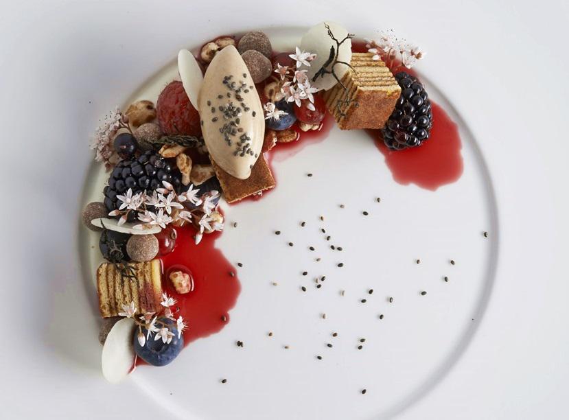 Beeren-Getreide-Hirschhornflechte-Chia Samen1