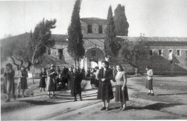 BeneathTheOliveTree_2