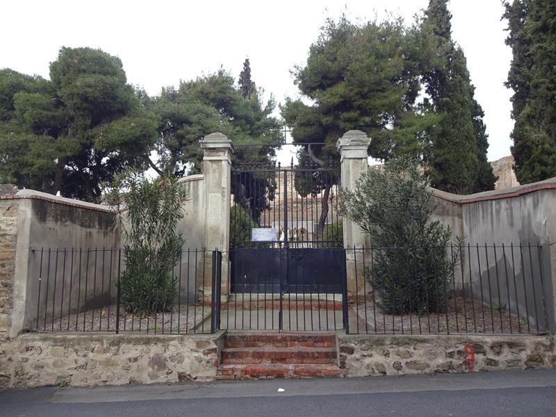 DSC01206