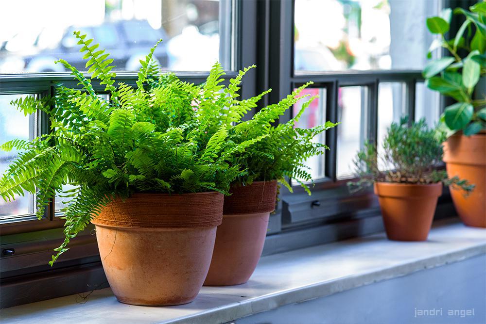 _DSC1178-as-Smart-Object-1