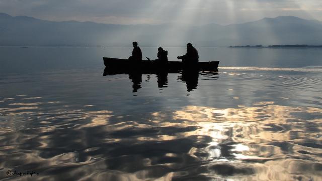 ????????????????????????????????????