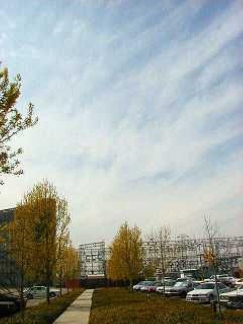 F6JAD9UFHC3AB2Q.MEDIUM (Large)