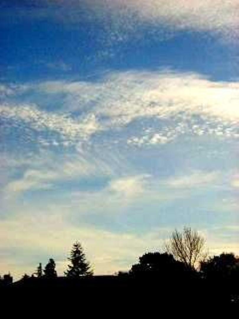 FGSDYZ6FHC3AB30.MEDIUM (Large)