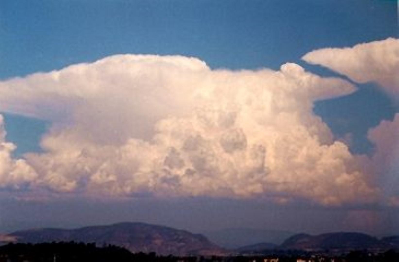 FLBCGFUFHC3AB4M.MEDIUM (Large)