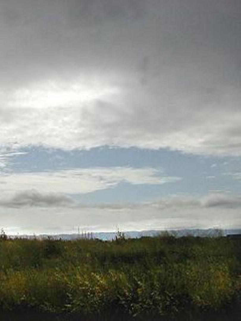 FVEQLCYFHC3AB37.MEDIUM (Large)