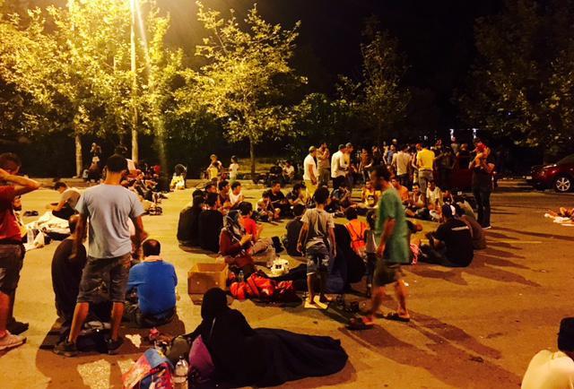 FullSizeRender (100)