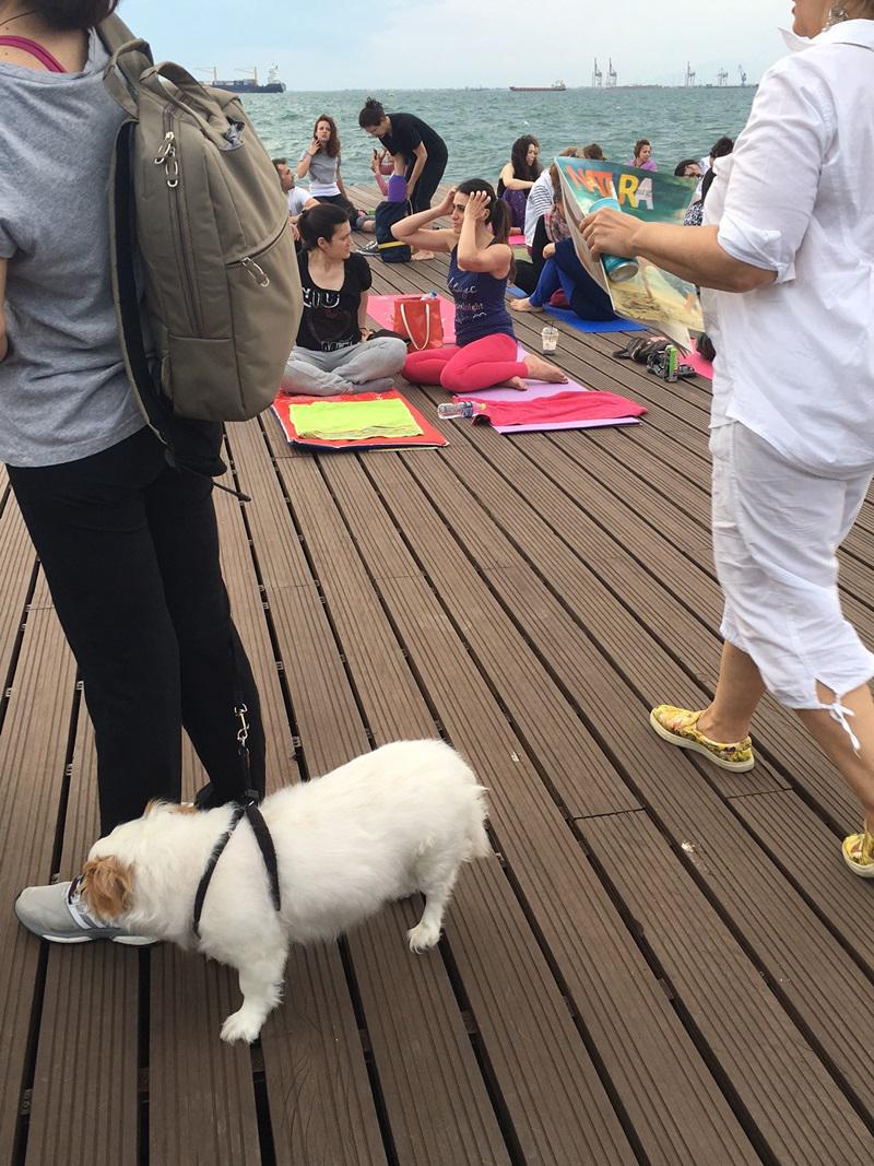 IMG_1707-e1465147658424 (1)