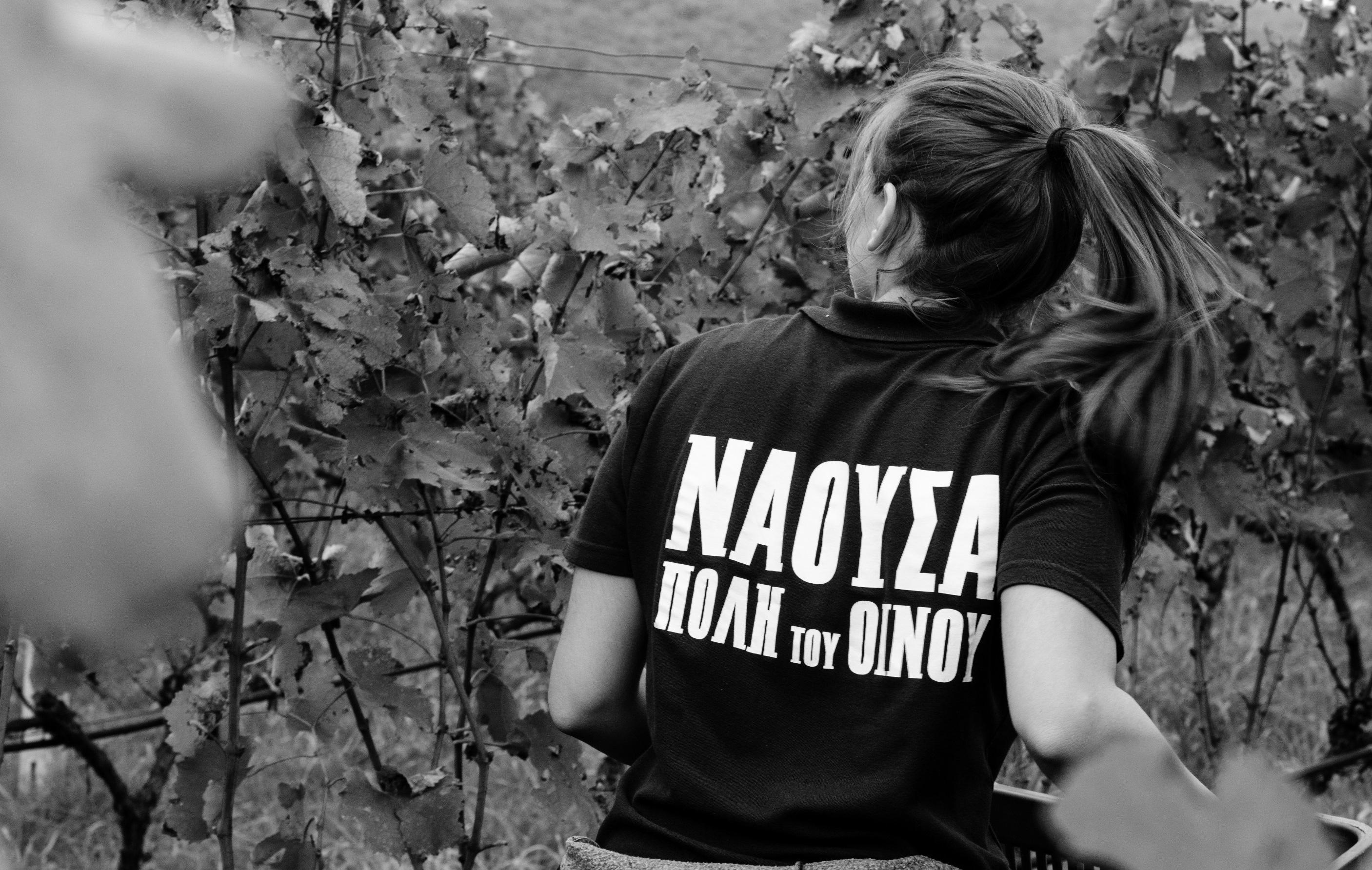 Naoussa Wine City 2015 photo