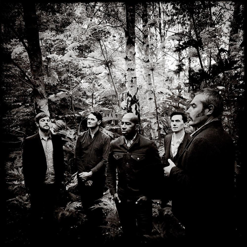 TINDERSTICKS 2015 IP4_p(1)