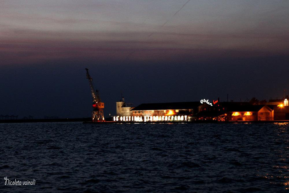 VAINALI NICOLETA-FILM FESTIVAL 2