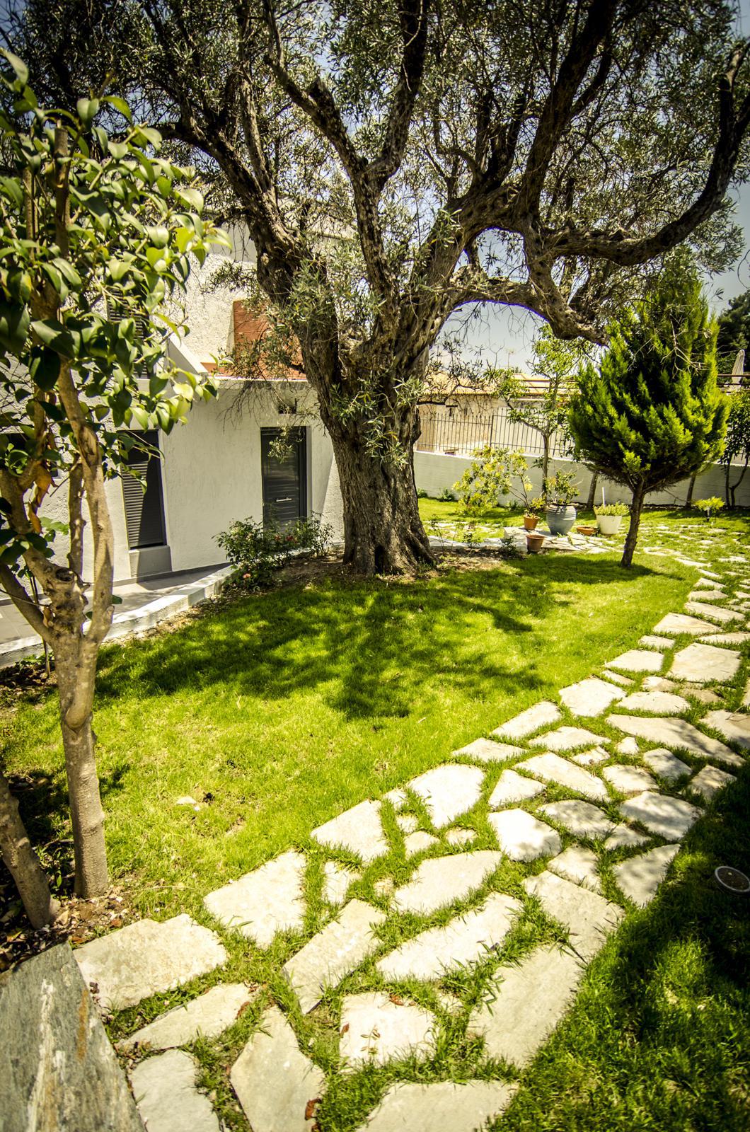 VLI PLZ SofiaCamplioni.Com-3473-2