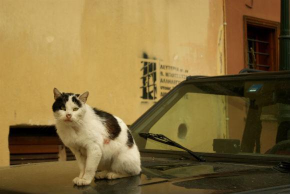 ag._paylos_9.jpg ag._paylos_9.jpg