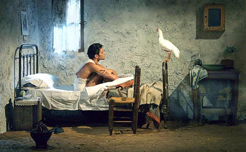 aniceto