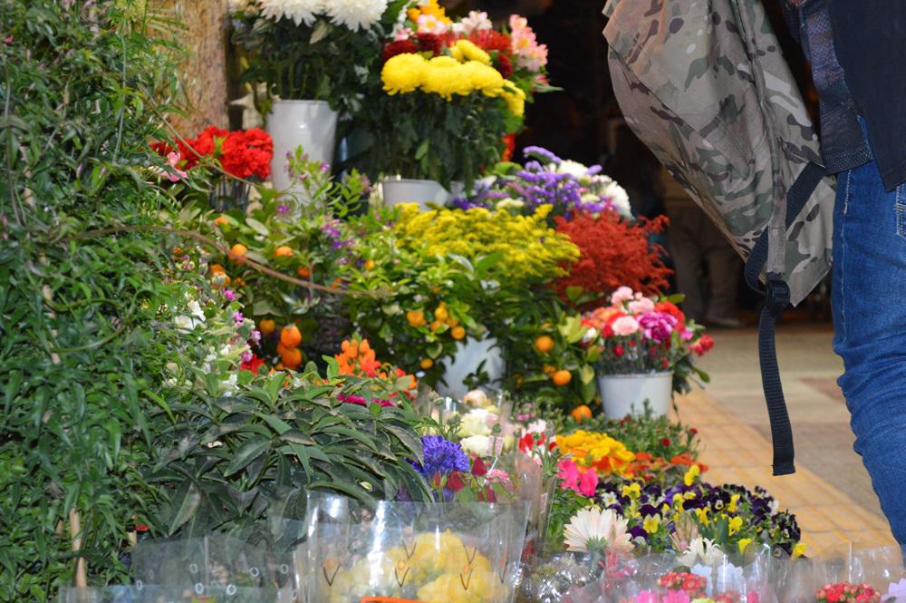 antigoni prosfyges (13)