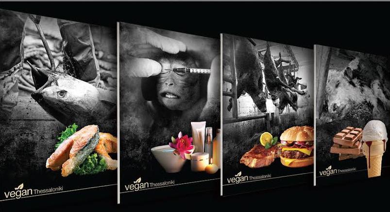 cc19b8ab-29ad-4c9d-9c65-1c15a03c6f42