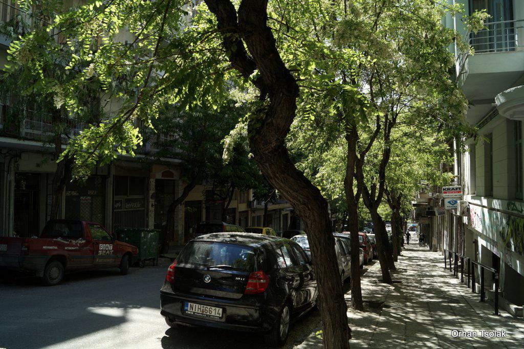 dsc000057.jpg dsc000057.jpg