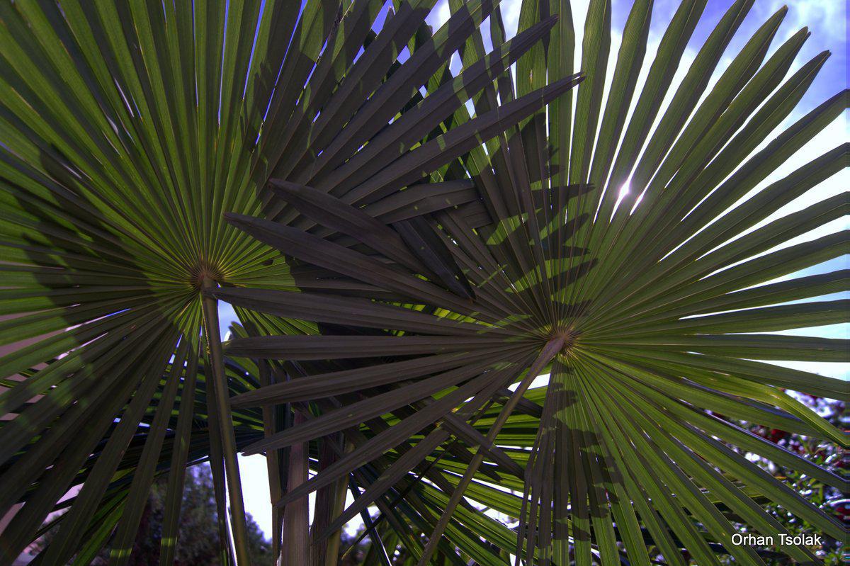 dsc000101.jpg dsc000101.jpg