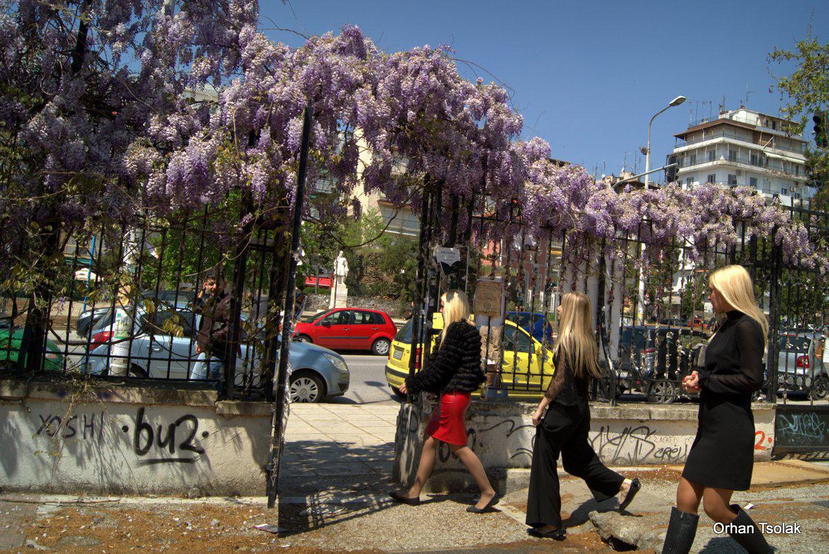 dsc000271.jpg dsc000271.jpg