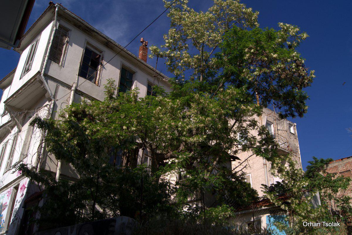 dsc000359.jpg dsc000359.jpg