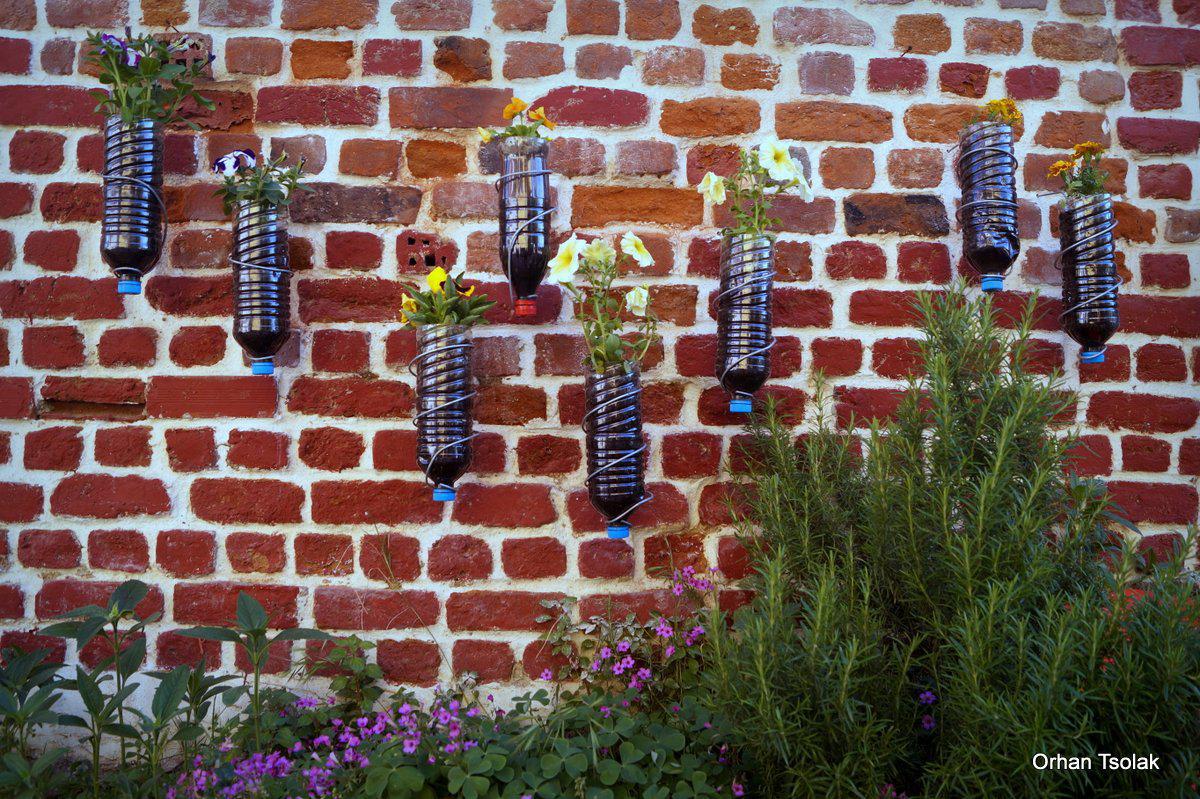 dsc00037.jpg dsc00037.jpg