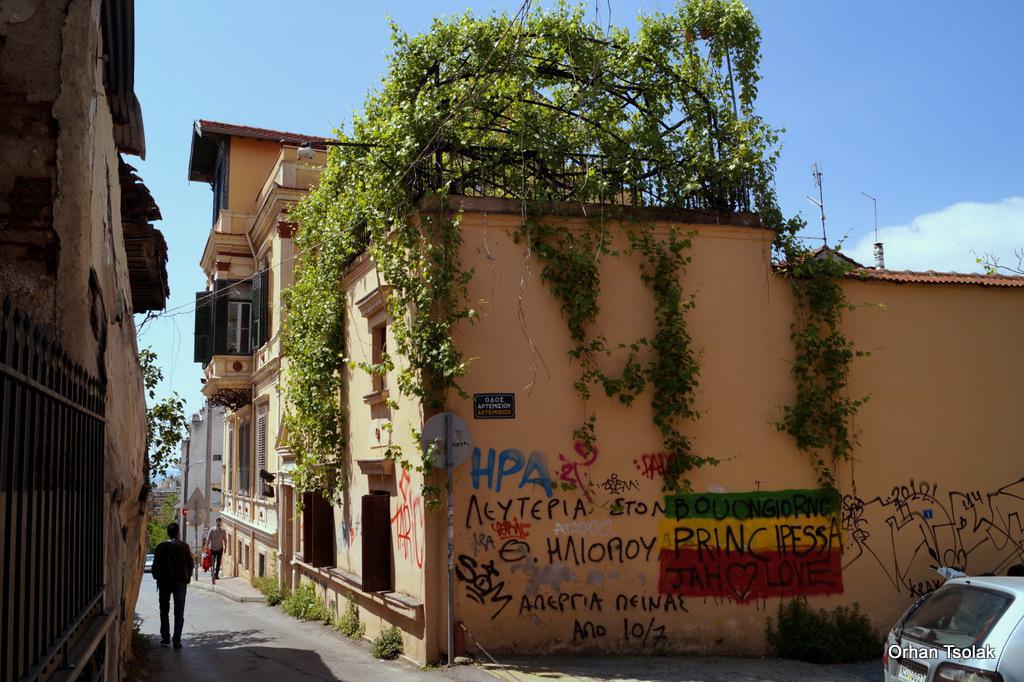 dsc0005103.jpg dsc0005103.jpg