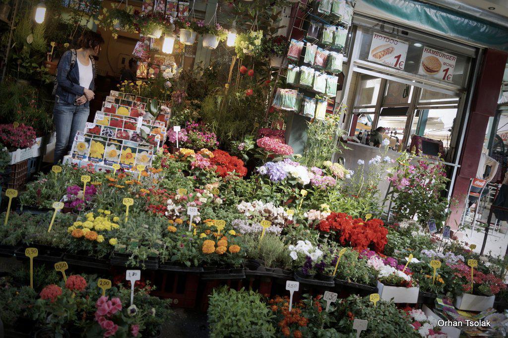 dsc00056.jpg dsc00056.jpg